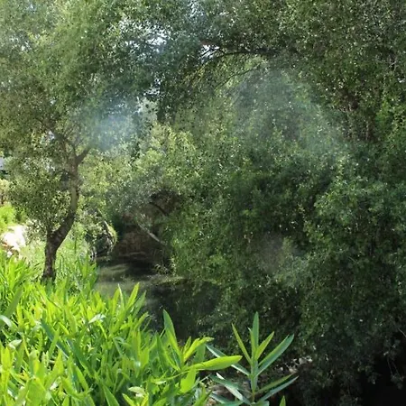 Las Brisas
